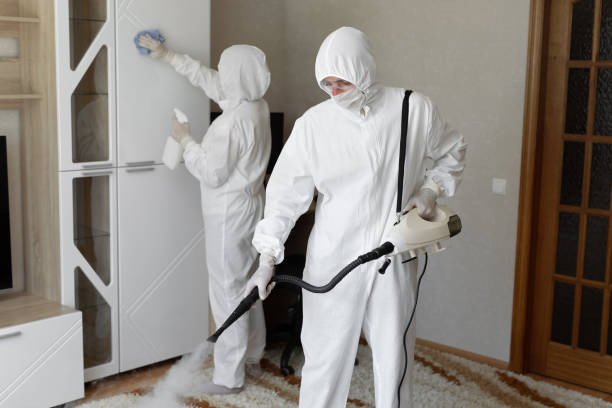 24/7 Emergency Odor Removal experts in Somerset, MD