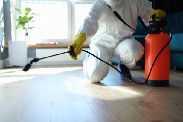 Reliable Odor Removal contractor in Somerset, MD by Trauma Clean Pros